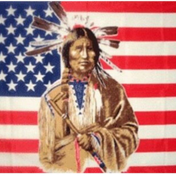 American Indian Native Flag 3'x5' USA Stars & Stri - Picture 2 of 4